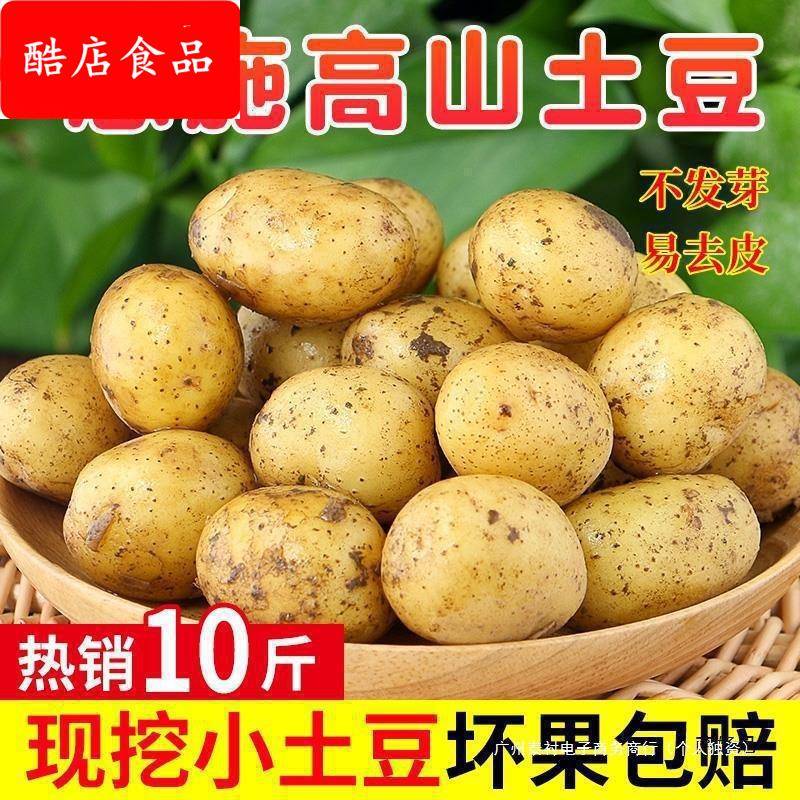 恩施小土豆10斤包邮富硒新鲜洋芋迷你黄心士豆湖北马铃薯蔬菜山药