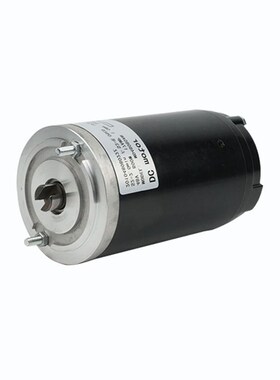 电动叉车配件诺力小金钢小电机24V800W西林油泵电机MD24080AN马达