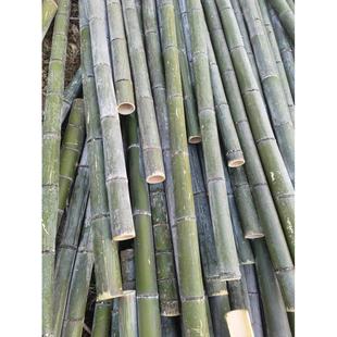 楠竹粗大毛竹子户外菜园庭院园艺篱笆围栅栏树木支撑架竿搭棚旗杆