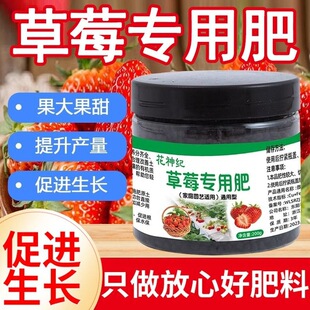 草莓肥料专用肥家用盆栽有机肥料植物营养液通用型坐果期促果增大
