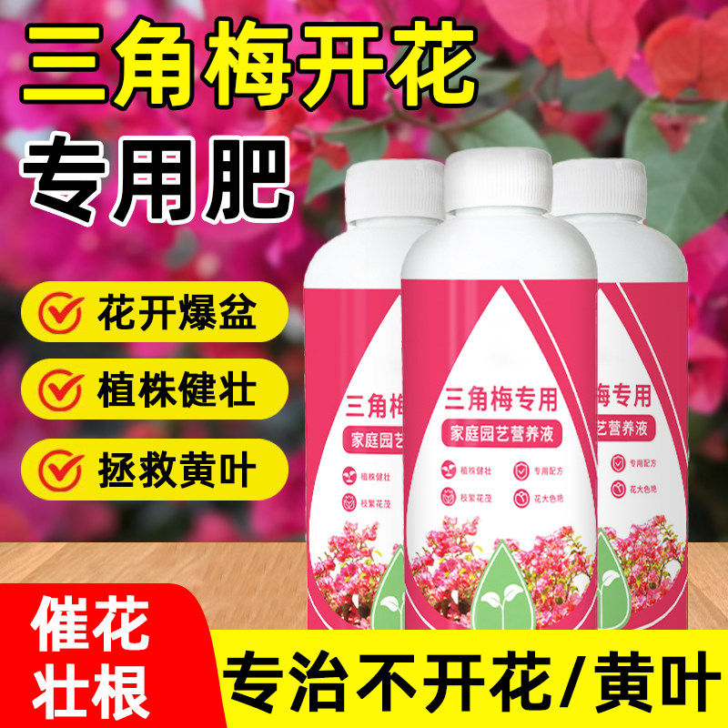 三角梅开花专用营养液肥促花爆