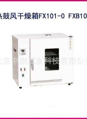 烘箱干燥箱实验室恒温干燥箱 电热鼓风干燥箱 FX101-0/FXB101-0