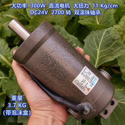 大功率 300 W 直流电机 DC24V 2700 转 大扭矩11KG/cm 双滚珠轴承