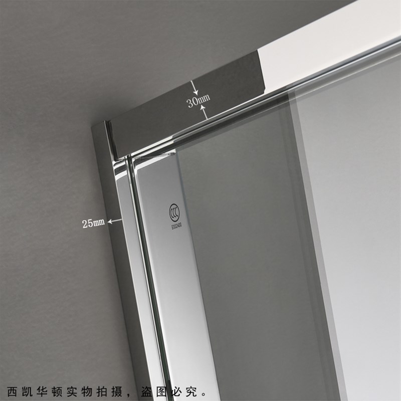 极简缓冲移门淋浴房无下轨下沉式不锈钢浴室隔断一字形整体推拉门