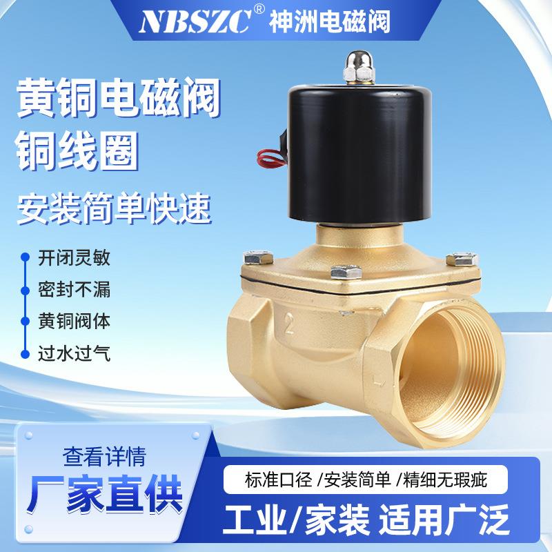 NBSZC 2W-50/小电磁阀 太阳能电磁阀排水进水电磁阀 AC220V多电压