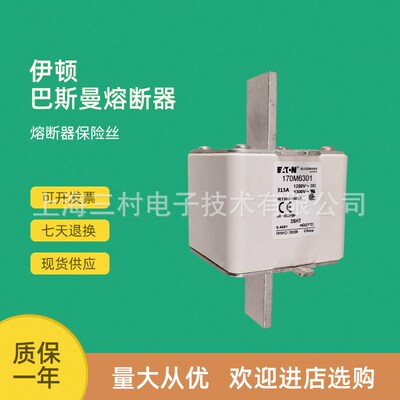 全新原装快速熔断器保险丝170M6316 170M6317 170M6318 170M6325