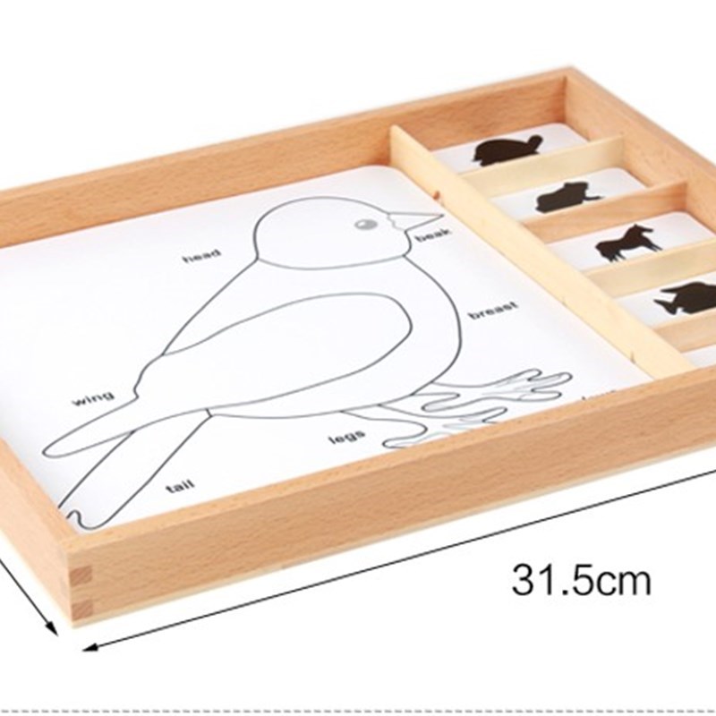 蒙氏教具蒙台梭利教具蒙特梭利动物三段卡动物植物三段卡三部卡