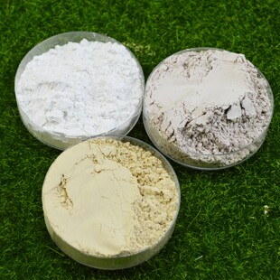 施王蚁馆  石膏粉模型粉模具粉 DIY蚁巢石膏超硬 约200克 1000目