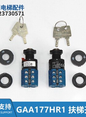 GAA177HR1全新自动扶梯锁GAB26220AM5开关锁D-7H87*01 AT17F874