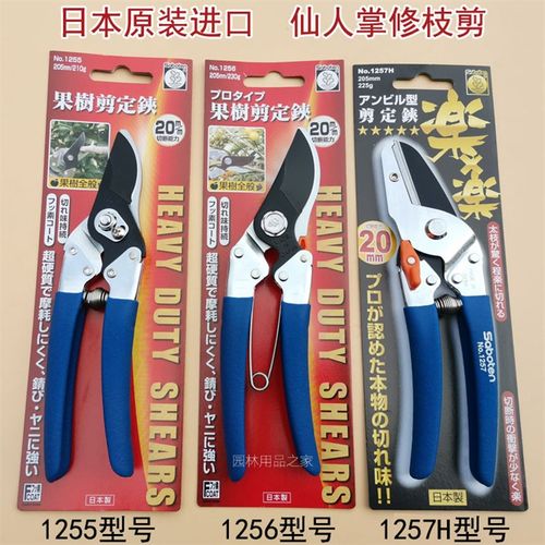 仙人掌修枝剪果树修枝剪刀树枝剪刀家用花艺花剪桑剪日本原装进口