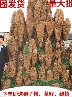 客厅大型天然吸水石原石假v山盆景庭院鱼池上水石流水装饰造景摆