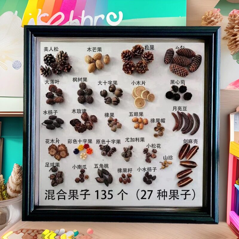木质中空立体玻璃相框昆虫植物干果实蝴蝶标本装裱展示画框摆件