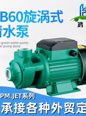 QB60708g0循环水泵旋涡泵12v24v太阳能220v110v小型家用增压泵