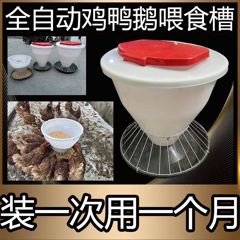 喂鸡食槽自动喂食神器鸭鹅喂料槽鸡鸭自动喂食器鸡用长方形不锈钢