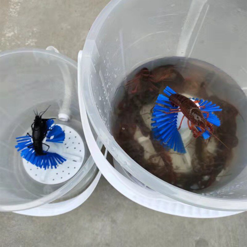 智能洗小龙虾神器家用商用洗虾机洗龙虾的机器全自动小龙虾清洗机