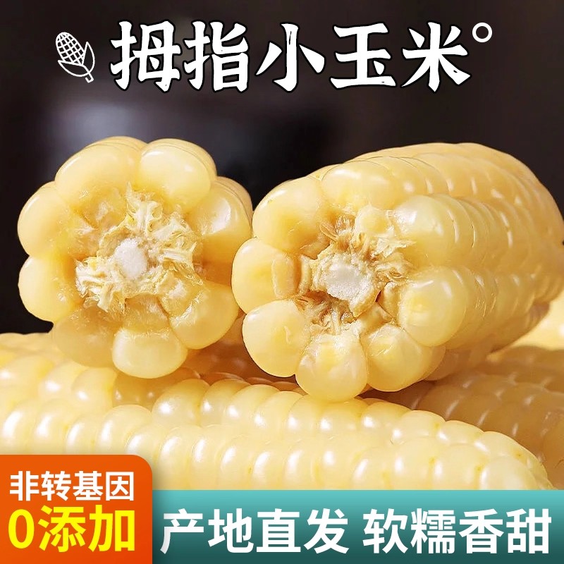 拇指小玉米宝宝辅食甜糯玉米云南