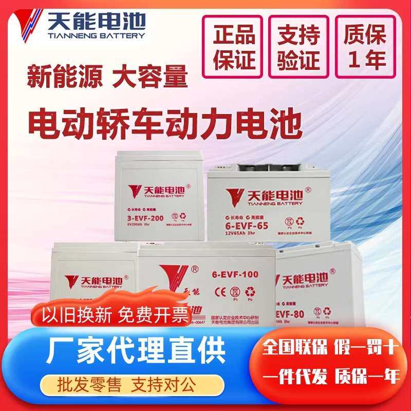 天能新能源电动轿车四轮车原厂电瓶60v100a4-evf-150y6v200ah