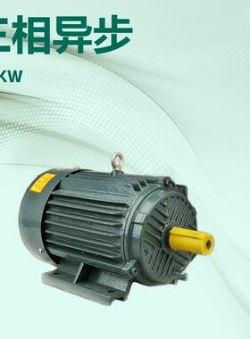 YE2YE3YE4Y2Y三相电机三相电动机异步电机0.55W-6极