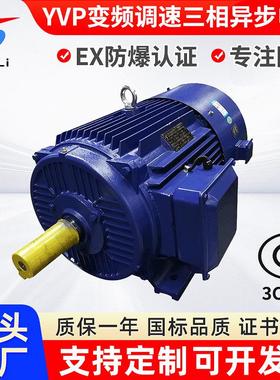 Y2VP-112M-4/4w变频调速三相异步电机交流变频调速电机