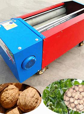 商用小型去核桃青皮机去皮清洗一体机农用全自动核桃剥皮机扒皮机