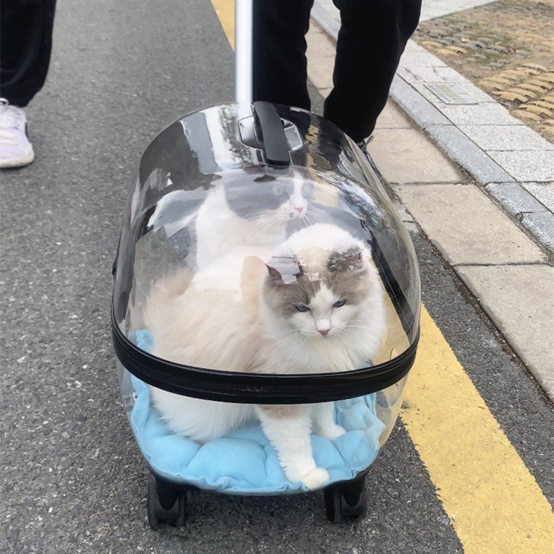 宠物拉杆箱猫包外出便捷狗狗手推车大容量遛猫箱子透明猫咪行李箱