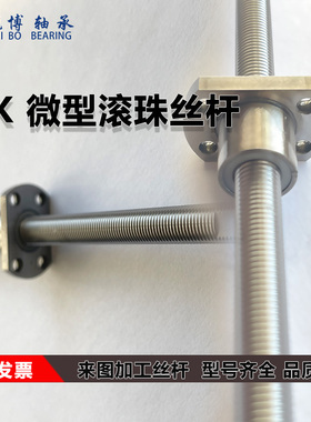 微型小型滚珠丝杆SFK0601 0801 0802 0802.5 1002 1004 丝杠螺母