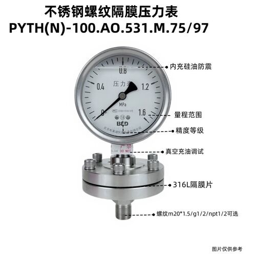 BLD布莱迪隔膜压力表 DN25 m42*2 PYTH-100AO.53.M.97 FO.F5A.F2B