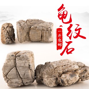 精品龟纹石假山盆景摆件大小快原石奇石树抱石微景观鱼缸造景石头