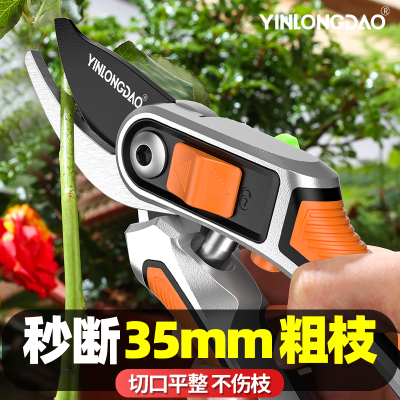 园林果树修枝剪刀剪树枝专用剪刀修枝剪修剪花卉花剪园艺剪刀枝剪