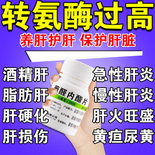 转氨酶高吃什么药疲惫治疗快速降脂肪肝的专用药养护肝葡醛内酯片