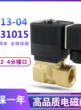 电磁阀2231015先导膜片式电磁阀 4分 6213-04电磁阀 220v 24vDN15