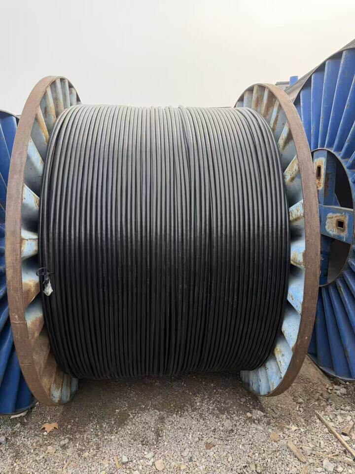 4月6日济南电力电缆YJLV-型号：3×16+1×10长度：500mDL13可邮寄处置单位支持发货，运费和发货流程见详情页网络拍卖公告