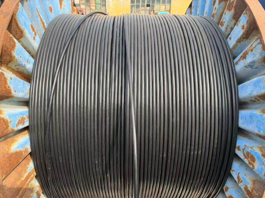 4月4日济南电力电缆YJV-型号：5×6长度：100mDL3153可邮寄处置单位支持发货，运费和发货流程见详情页网络拍卖公告