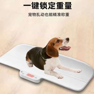充电宠物秤专用体重秤猫咪狗狗称重器小大型宠物店电子秤精准地秤