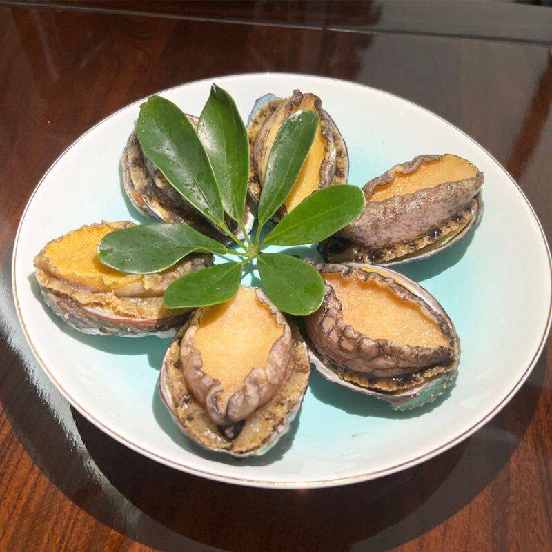 【中水海中金】大连鲜冻鲍鱼鲍鱼大个鲍鱼10头/袋规格装
