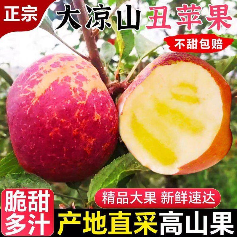 【产地直发】大凉山盐源丑苹果脆甜可口新鲜采摘包邮到家