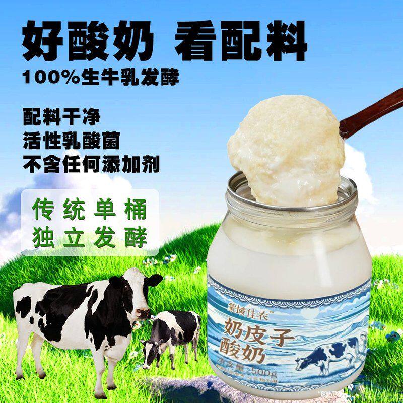 【内蒙直发】正宗奶皮子酸奶无添加剂可嚼拌营养代餐