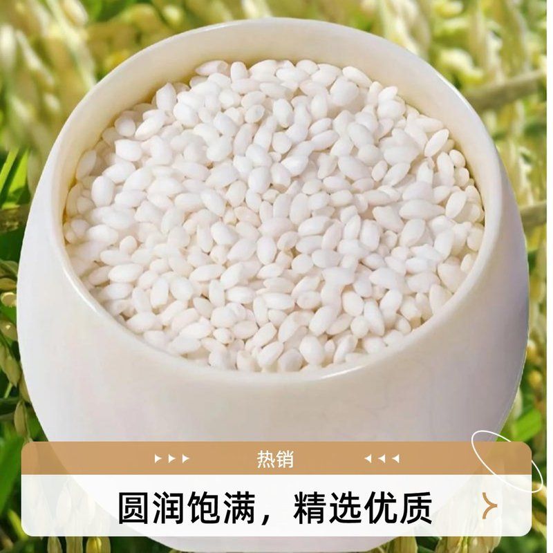 【到手5斤】东北圆糯米粘糯米粘米包粽子酿酒糯新糯米江米软糯杂