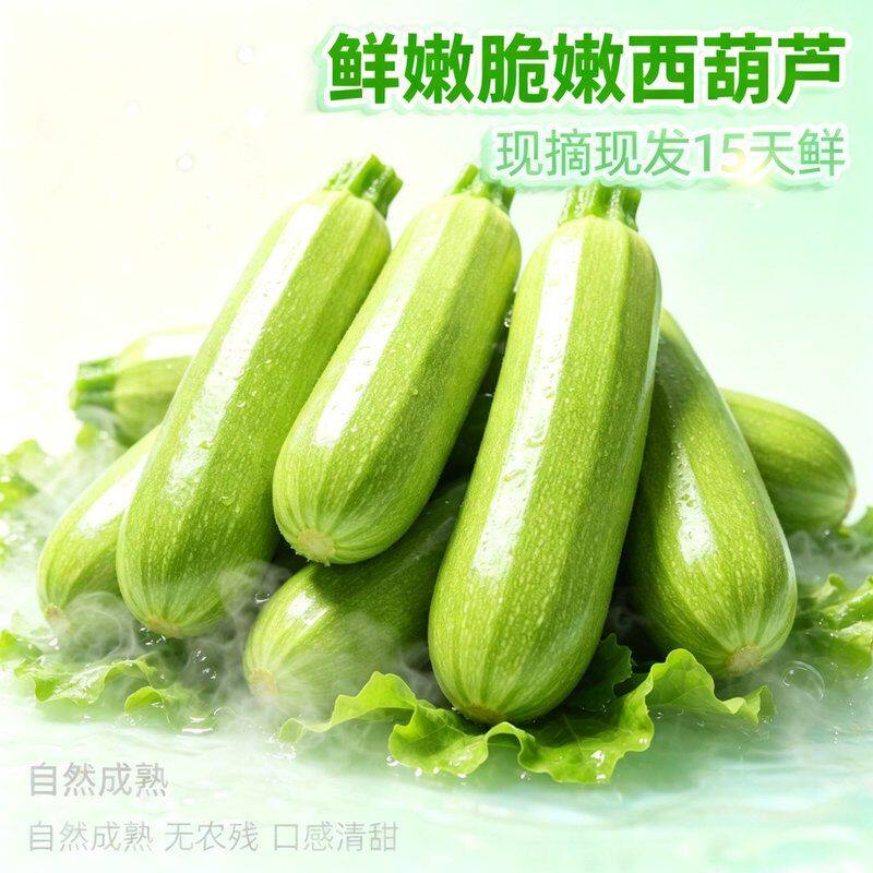 【农家自种】新鲜鲜嫩西葫芦现摘现发大棚种植当季新鲜蔬菜脆嫩5