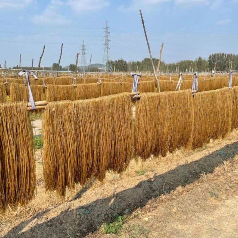 活动 红薯粉条5斤 非遗工艺不含胶传统手工晾晒 东泇河-支持试吃