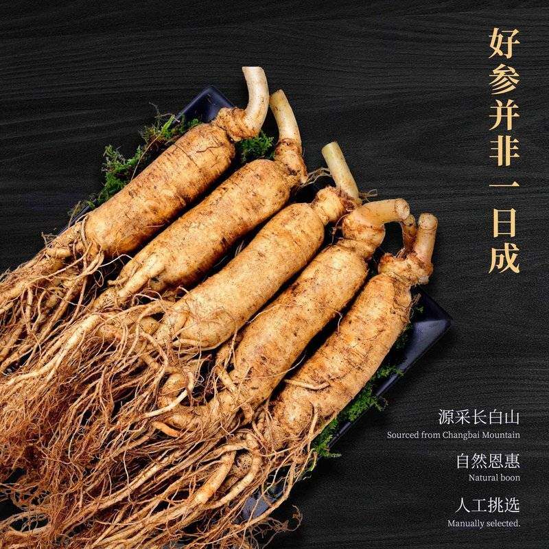 长白山鲜人参现挖泡酒煲汤炖鸡煮水