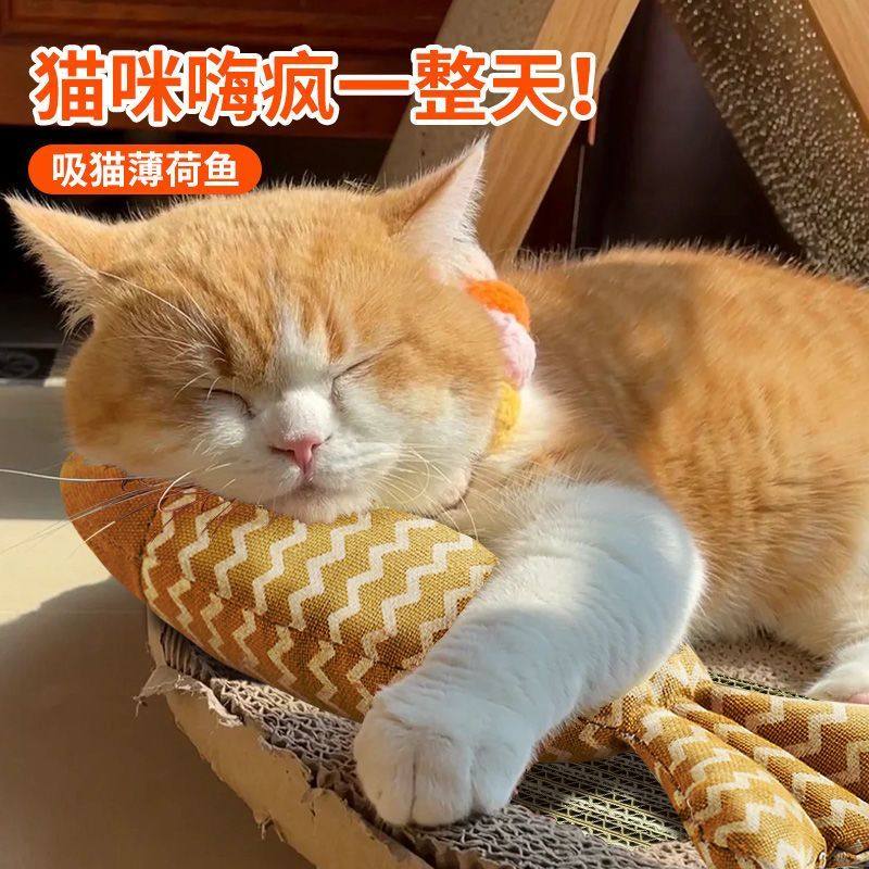 猫玩具鱼逗猫薄荷鱼猫零食毛绒仿真鱼猫咬薄荷鱼抱枕猫草猫咪用品