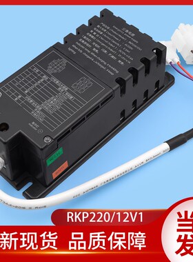杭州西奥应急电源RKP220/12V1德凌RKP220/12Q电梯对讲专用电源