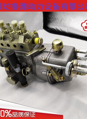 潍坊4100高压油泵总成 1500转4102发电机柴油泵 ZH4105喷油泵