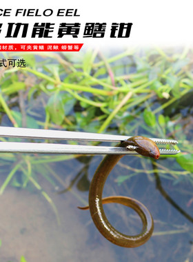 黄鳝夹子鳝鱼夹抓螃蟹龙虾捕捉器泥鳅钳子防滑工具控鱼器赶海工具