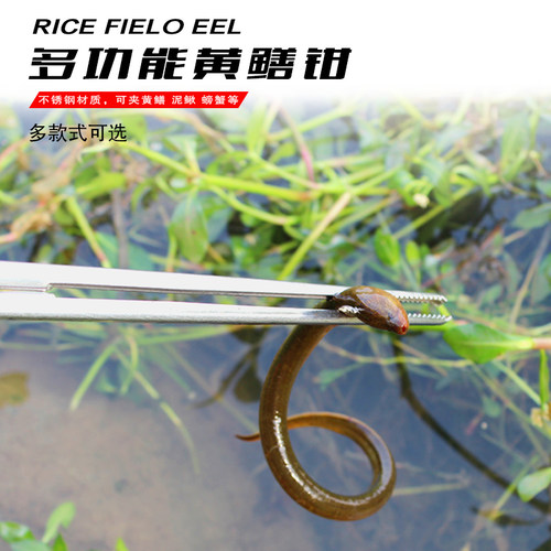 黄鳝夹子鳝鱼夹抓螃蟹龙虾捕捉器泥鳅钳子防滑工具控鱼器赶海工具