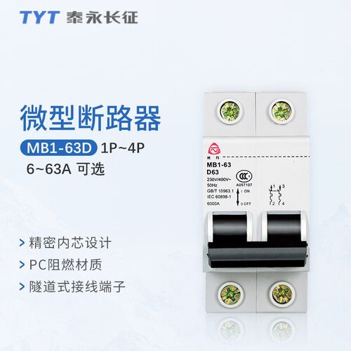 TYT泰永长征长九MB1-63D型空气开关断路器32a家用大功率3P 4P空开