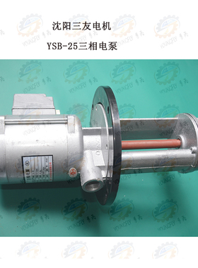 沈阳山友电机YSB-25三相电泵380V150W