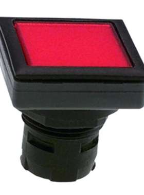 德国RAFI带灯按钮开关系列RAFIX 16F黄色1.30.090.012