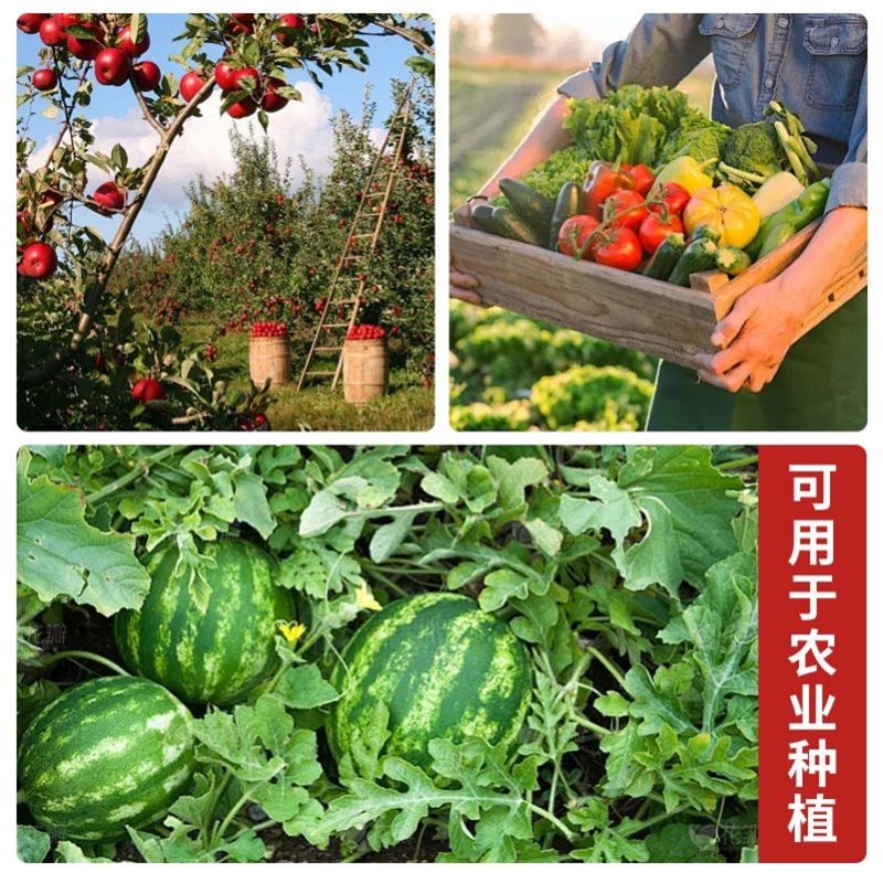红糖养殖用水产红糖种植红糖em菌肥水发酵农业农用水产兽用养殖用